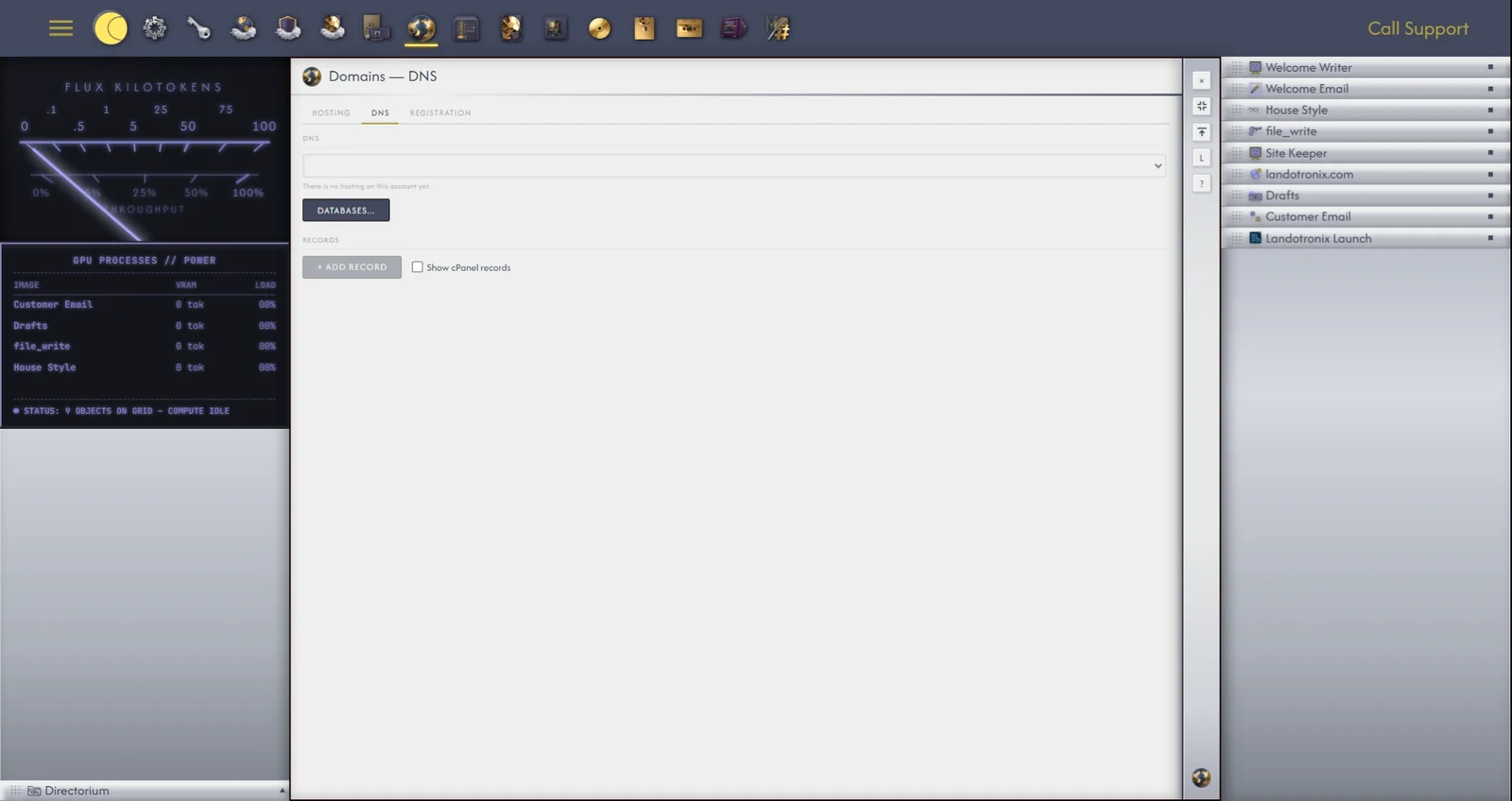 Domains, DNS tab, with a record open for editing.