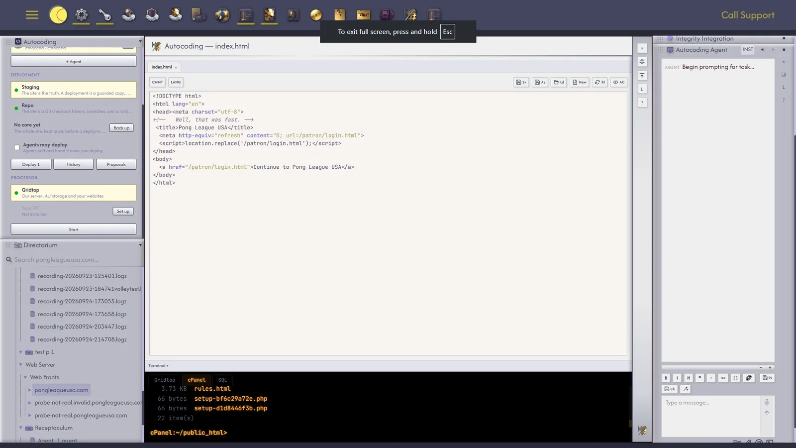 The Terminal, cPanel tab, listing a website's files.